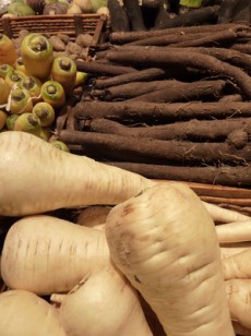 pourquoi-cet-engouement-pour-les-racines